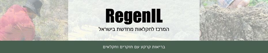 banner regen il